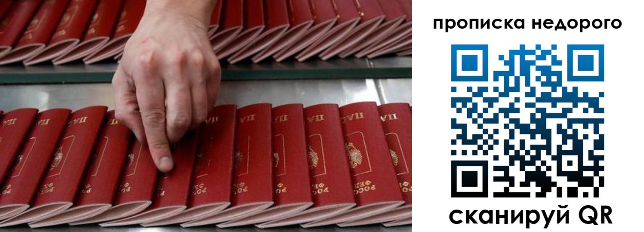 прописка регистрация в Мытищах