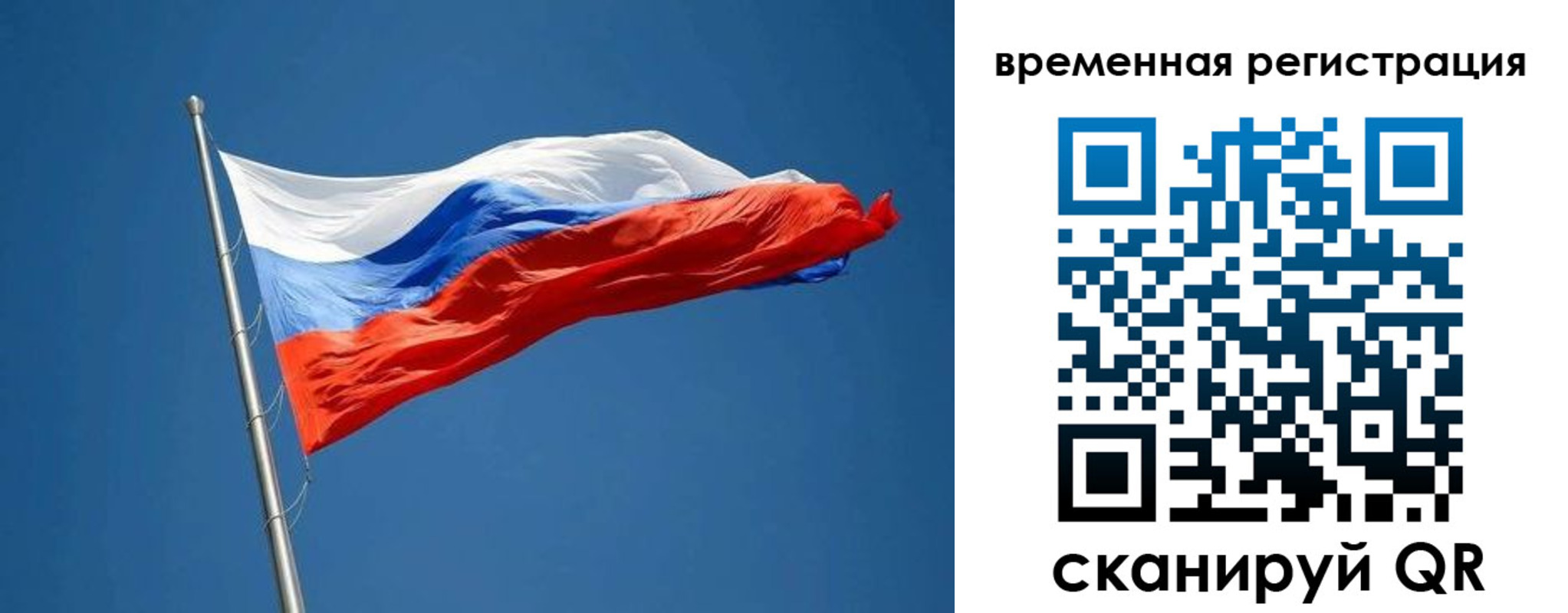 прописка законно в Мытищах