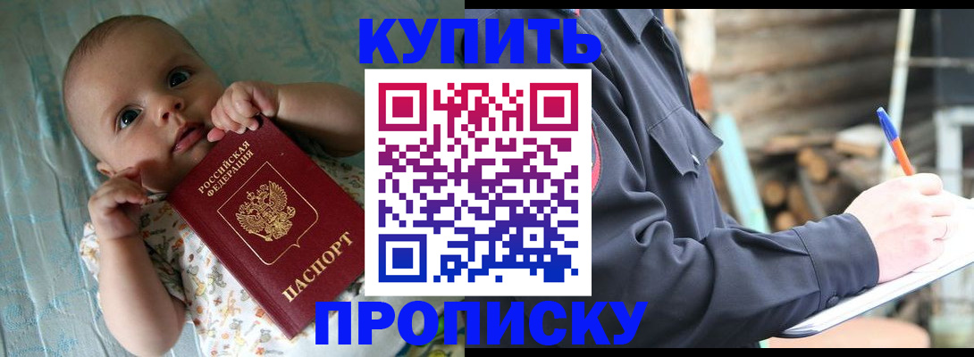 прописка поиск в Мытищах